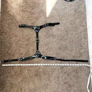 Latex Harness